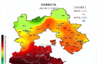 效率很高！申京19中12得到29分6板1助1断